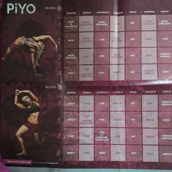 PIYO DVD Exercise Program - Picture 4 of 4